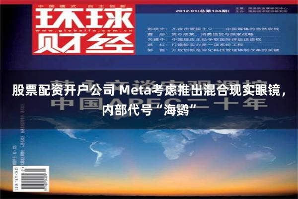 股票配资开户公司 Meta考虑推出混合现实眼镜，内部代号“海鹦”