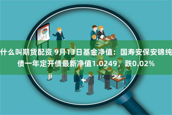什么叫期货配资 9月13日基金净值：国寿安保安锦纯债一年定开债最新净值1.0249，跌0.02%