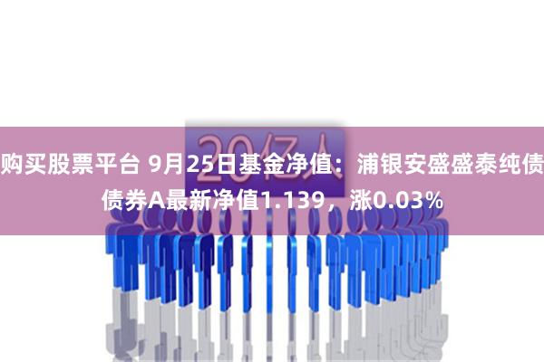 购买股票平台 9月25日基金净值：浦银安盛盛泰纯债债券A最新净值1.139，涨0.03%