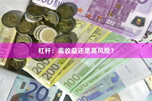 杠杆：高收益还是高风险？