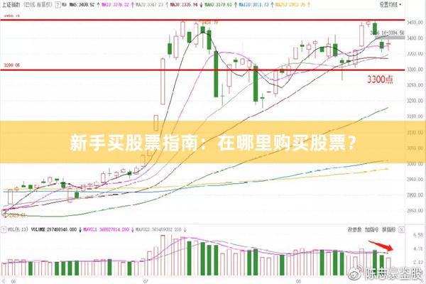新手买股票指南：在哪里购买股票？