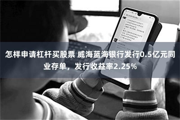 怎样申请杠杆买股票 威海蓝海银行发行0.5亿元同业存单，发行收益率2.25%