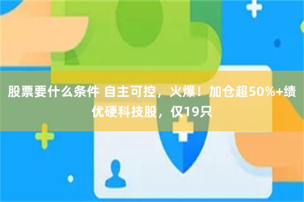 股票要什么条件 自主可控，火爆！加仓超50%+绩优硬科技股，仅19只