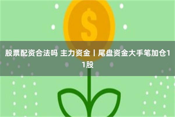 股票配资合法吗 主力资金丨尾盘资金大手笔加仓11股