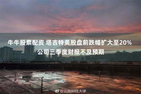 牛牛股票配资 塔吉特美股盘前跌幅扩大至20% 公司三季度财报不及预期