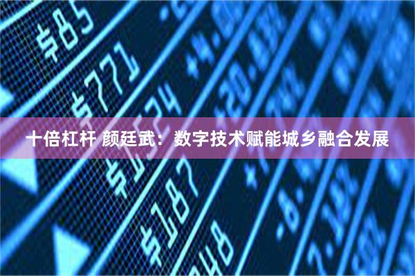 十倍杠杆 颜廷武：数字技术赋能城乡融合发展