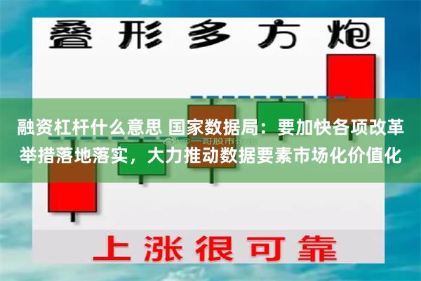 融资杠杆什么意思 国家数据局：要加快各项改革举措落地落实，大力推动数据要素市场化价值化