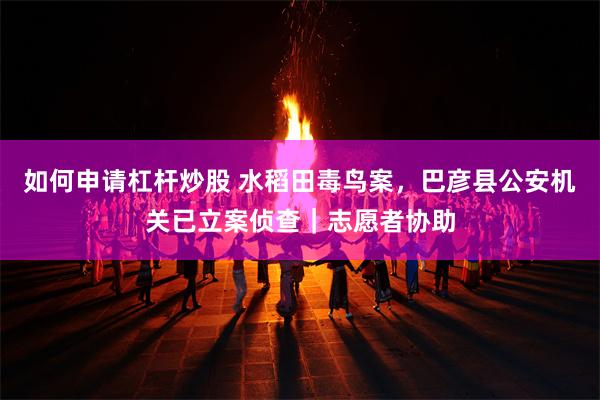 如何申请杠杆炒股 水稻田毒鸟案，巴彦县公安机关已立案侦查｜志愿者协助