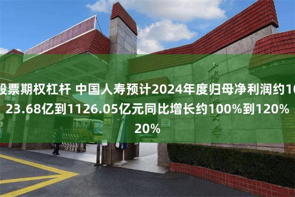 股票期权杠杆 中国人寿预计2024年度归母净利润约1023.68亿到1126.05亿元同比增长约100%到120%