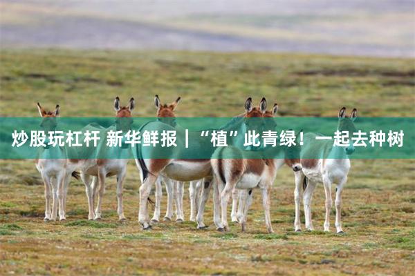 炒股玩杠杆 新华鲜报︱“植”此青绿！一起去种树