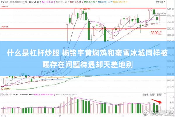 什么是杠杆炒股 杨铭宇黄焖鸡和蜜雪冰城同样被曝存在问题待遇却天差地别