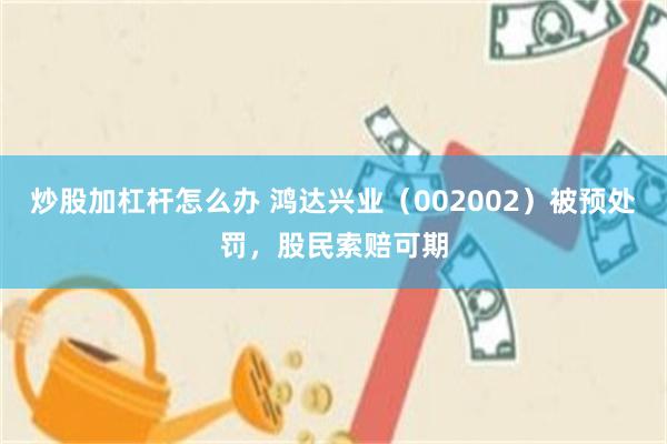 炒股加杠杆怎么办 鸿达兴业（002002）被预处罚，股民索赔可期