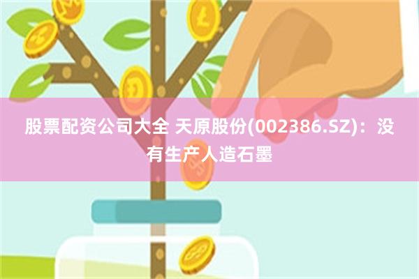 股票配资公司大全 天原股份(002386.SZ)：没有生产人造石墨