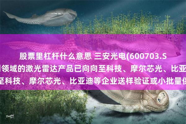 股票里杠杆什么意思 三安光电(600703.SH)：应用于智驾光学识别领域的激光雷达产品已向向至科技、摩尔芯光、比亚迪等企业送样验证或小批量供货