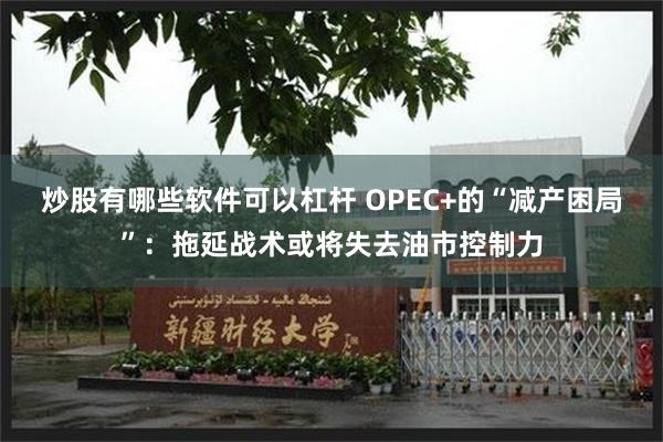 炒股有哪些软件可以杠杆 OPEC+的“减产困局”：拖延战术或将失去油市控制力
