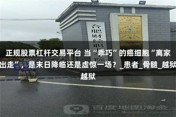 正规股票杠杆交易平台 当“乖巧”的癌细胞“离家出走”，是末日降临还是虚惊一场？_患者_骨髓_越狱