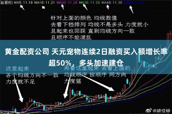 黄金配资公司 天元宠物连续2日融资买入额增长率超50%，多头加速建仓