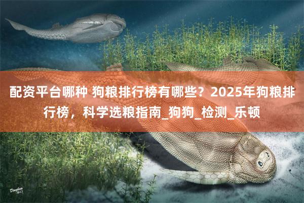 配资平台哪种 狗粮排行榜有哪些?2025年狗粮排行榜,科学选粮指南_狗狗_检测_乐顿