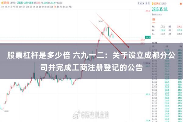 股票杠杆是多少倍 六九一二：关于设立成都分公司并完成工商注册登记的公告