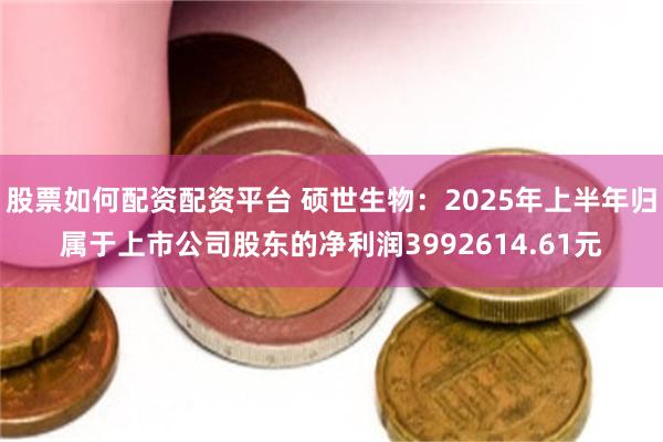 股票如何配资配资平台 硕世生物：2025年上半年归属于上市公司股东的净利润3992614.61元