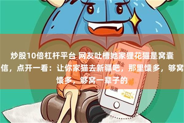 炒股10倍杠杆平台 网友吐槽她家狸花猫是窝囊废，我不信，点开一看：让你家猫去新疆吧，那里馕多，够窝一辈子的