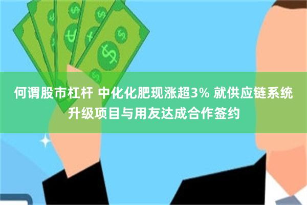 何谓股市杠杆 中化化肥现涨超3% 就供应链系统升级项目与用友达成合作签约