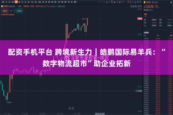 配资手机平台 跨境新生力｜皓鹏国际易羊兵：“数字物流超市”助企业拓新