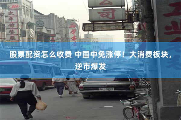股票配资怎么收费 中国中免涨停！大消费板块，逆市爆发
