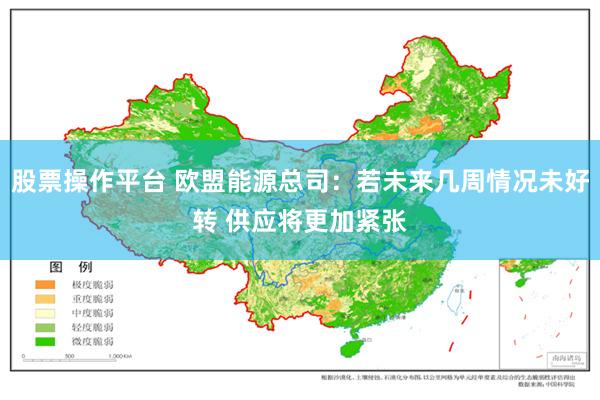 股票操作平台 欧盟能源总司：若未来几周情况未好转 供应将更加紧张