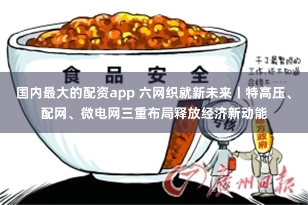 国内最大的配资app 六网织就新未来丨特高压、配网、微电网三重布局释放经济新动能