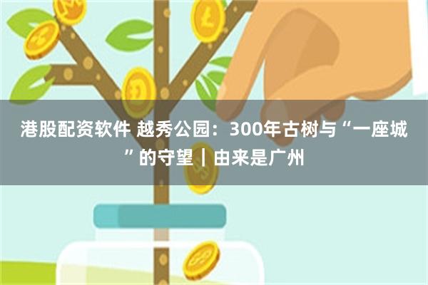 港股配资软件 越秀公园:300年古树与“一座城”的守望|由来是广州