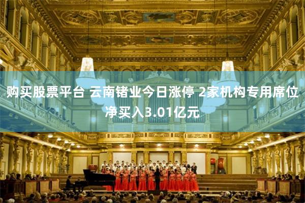 购买股票平台 云南锗业今日涨停 2家机构专用席位净买入3.01亿元
