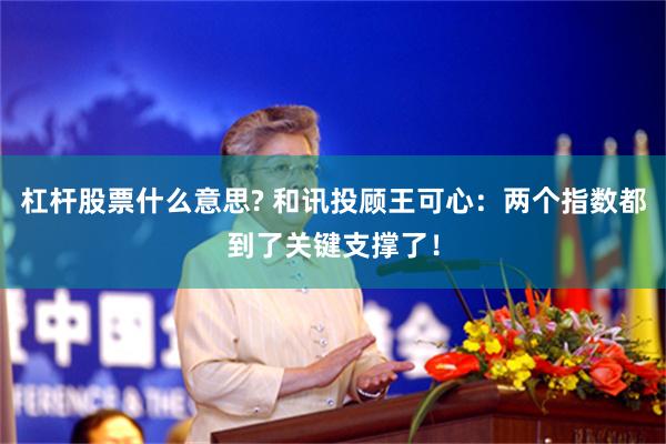 杠杆股票什么意思? 和讯投顾王可心：两个指数都到了关键支撑了！