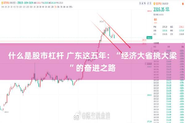 什么是股市杠杆 广东这五年：“经济大省挑大梁”的奋进之路