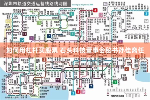 如何用杠杆买股票 石头科技董事会秘书孙佳离任