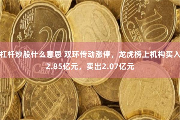 杠杆炒股什么意思 双环传动涨停，龙虎榜上机构买入2.85亿元，卖出2.07亿元