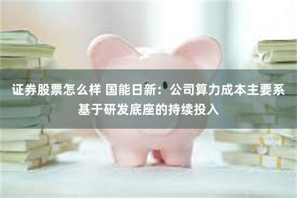 证券股票怎么样 国能日新：公司算力成本主要系基于研发底座的持续投入