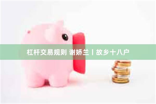 杠杆交易规则 谢娇兰丨故乡十八户