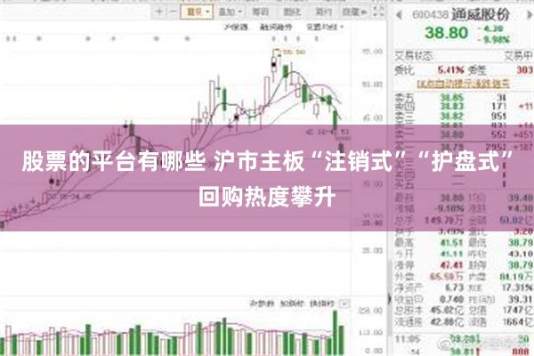 股票的平台有哪些 沪市主板“注销式”“护盘式”回购热度攀升