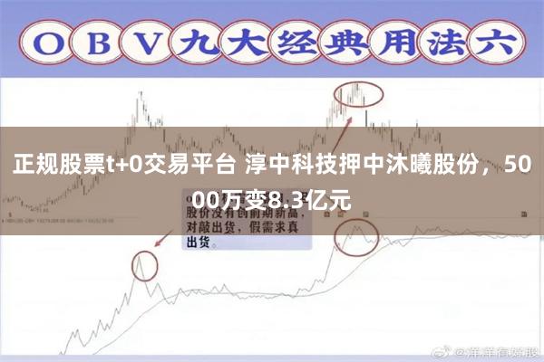 正规股票t+0交易平台 淳中科技押中沐曦股份，5000万变8.3亿元