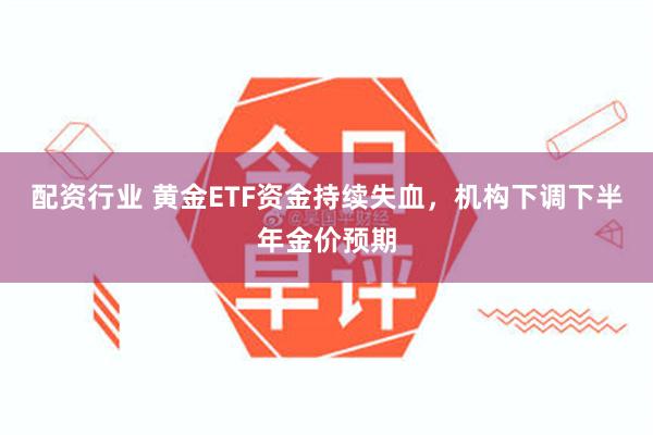 配资行业 黄金ETF资金持续失血，机构下调下半年金价预期