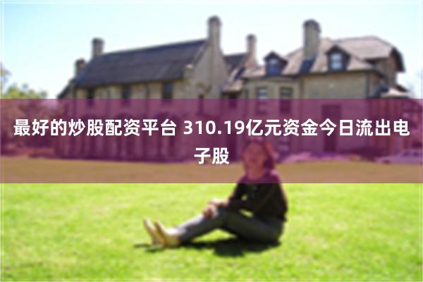 最好的炒股配资平台 310.19亿元资金今日流出电子股