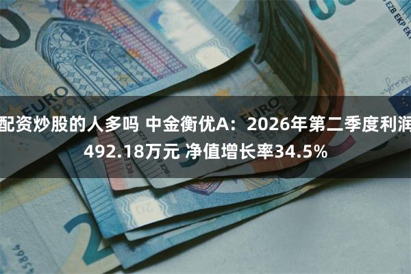 配资炒股的人多吗 中金衡优A：2026年第二季度利润492.18万元 净值增长率34.5%