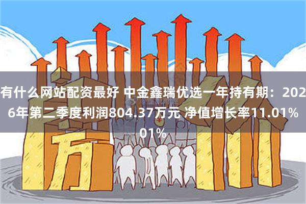 有什么网站配资最好 中金鑫瑞优选一年持有期：2026年第二季度利润804.37万元 净值增长率11.01%