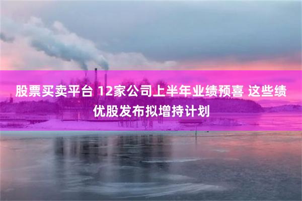 股票买卖平台 12家公司上半年业绩预喜 这些绩优股发布拟增持计划